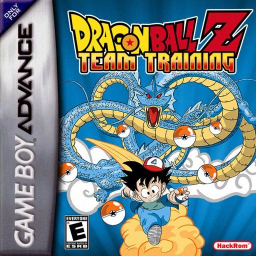 Dragon Ball Z-Team Training