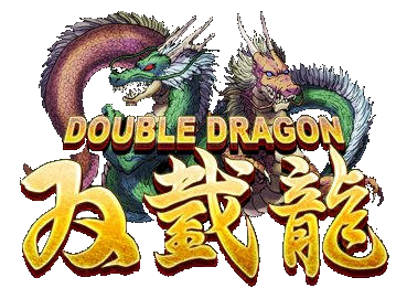 Cover Image for Double Dragon Series