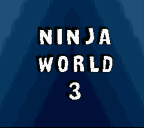 Ninja World 3