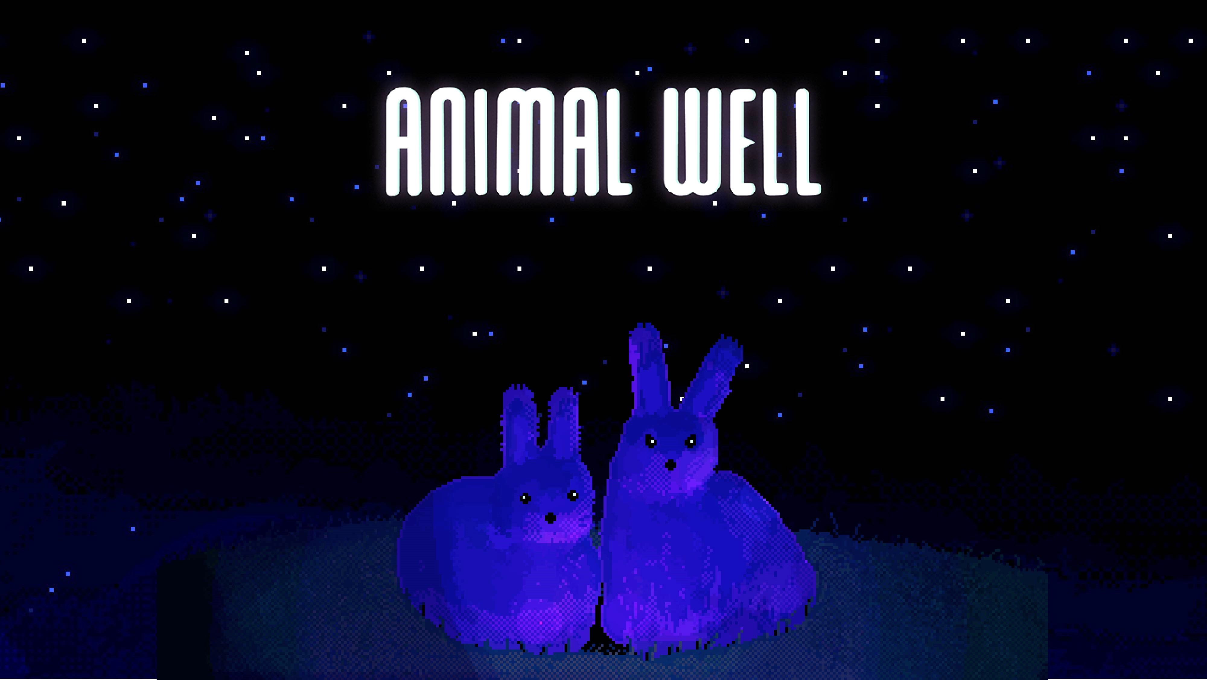 Animal Well Category Extensions