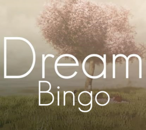 Dream Bingo Runs
