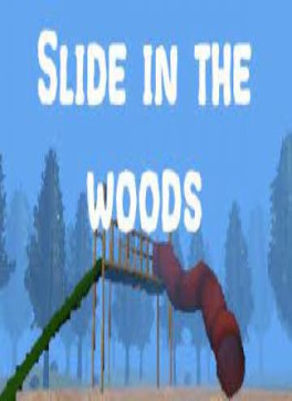 Slide In The Woods