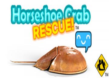 Horseshoe Crab Rescue!