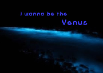 I Wanna Be The Venus