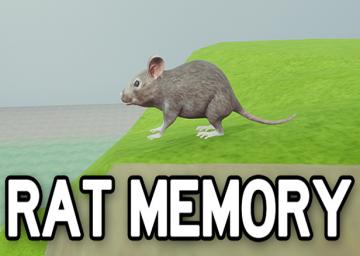 Rat Memory
