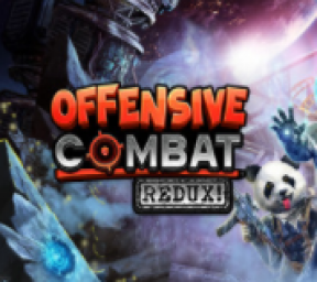 Offensive Combat