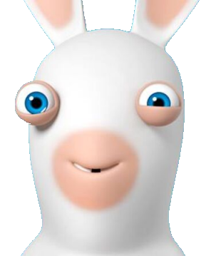 Cover Image for Raving Rabbids Series
