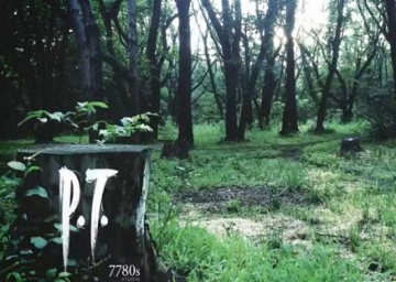 Silent Hills P.T.