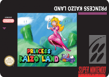 Princess Kaizo Land