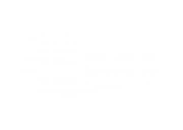 Cover Image for Finding Nemo Series