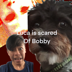 Luca Is Scared Of Bobby
