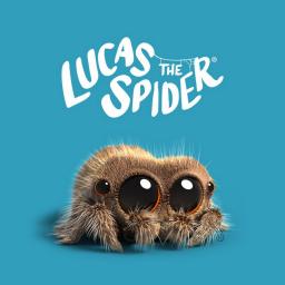 Lucas the Spider Matching Pairs