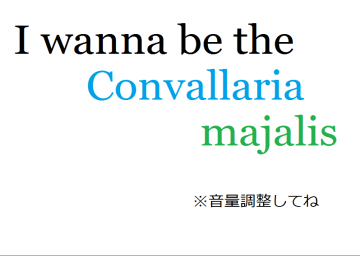 I Wanna Be The Convallaria Majalis