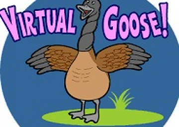 Virtual Goose